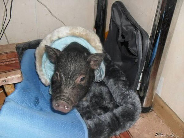 Сергей Журавлев