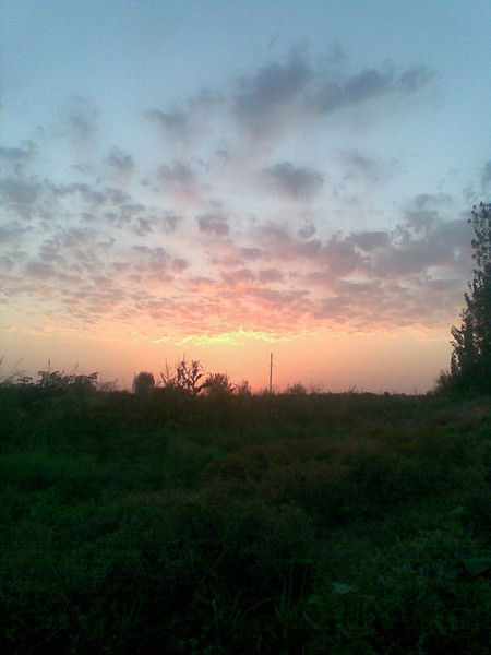 Алишер Сапаркулов