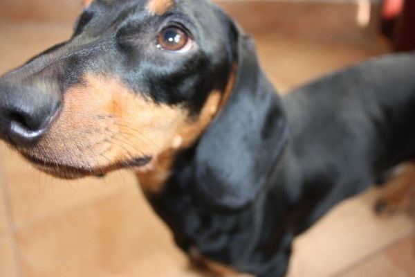 Неизвестно Неизвестно