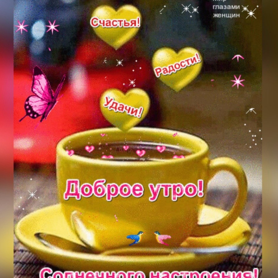 Ирина Прус