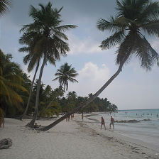 Лариса Дунаевская