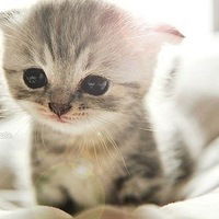 Настя Телегина