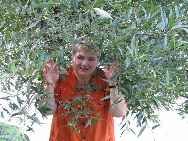 Марина Костальева