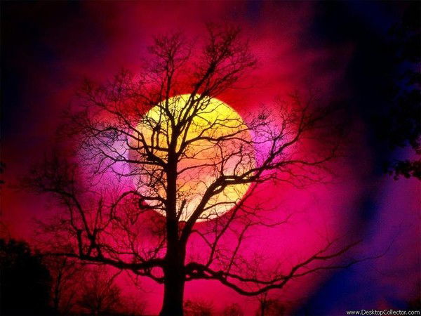 Владимир Гурьев