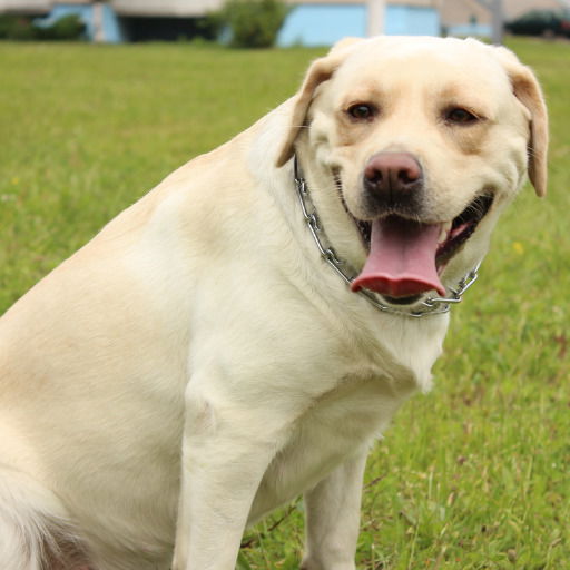 Леонид Мазин