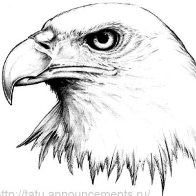 Шамиль Магомедов