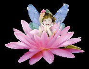 Наталья Донская