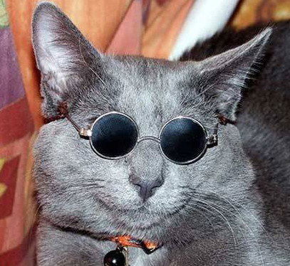 Константин Ларионов