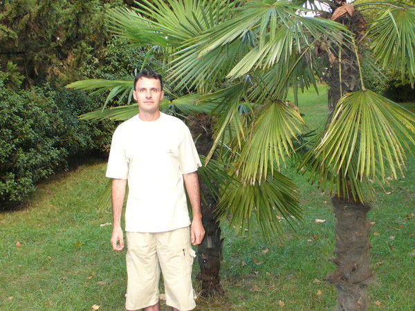 Александр Ставицкий