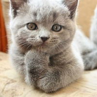 Виктор Лысков