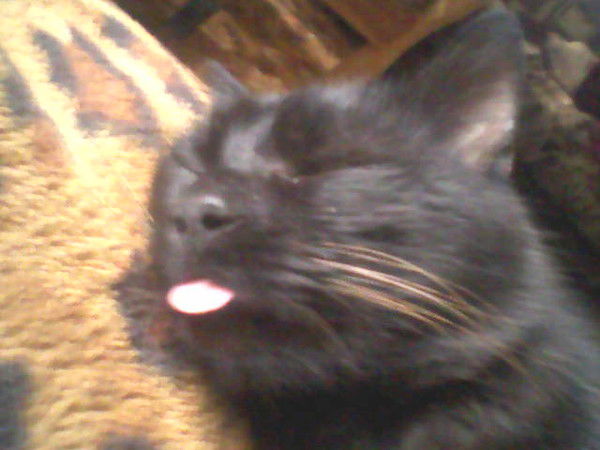 Сергей Барков