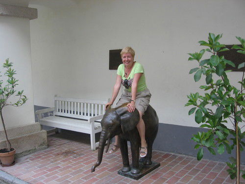 $Светлана &ворошилова