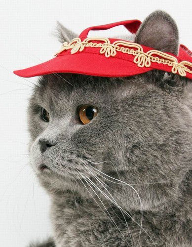 Стас Комаров