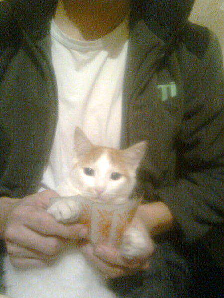 Аля Абдукаримова