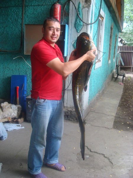 Талгат Джупбаев