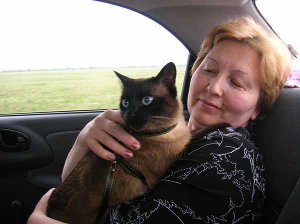 Елена Холодкова