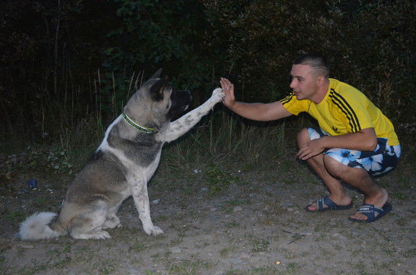 Роман Солдатов