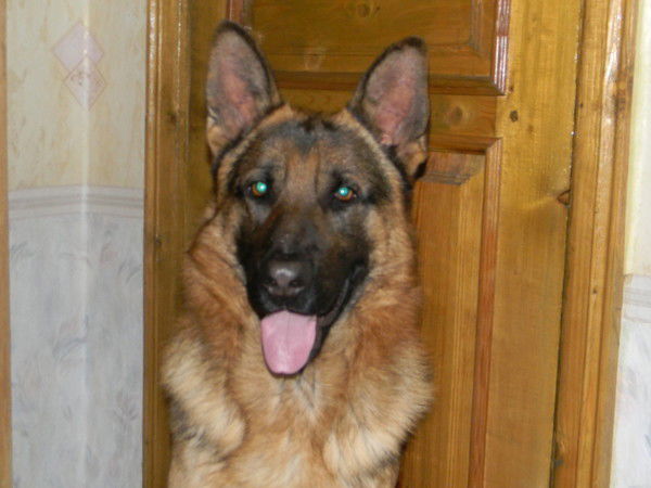 Вова Кузнецов