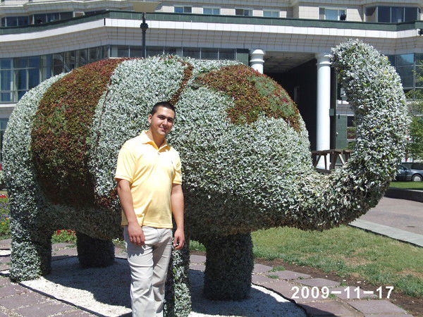 Василий Тарасов