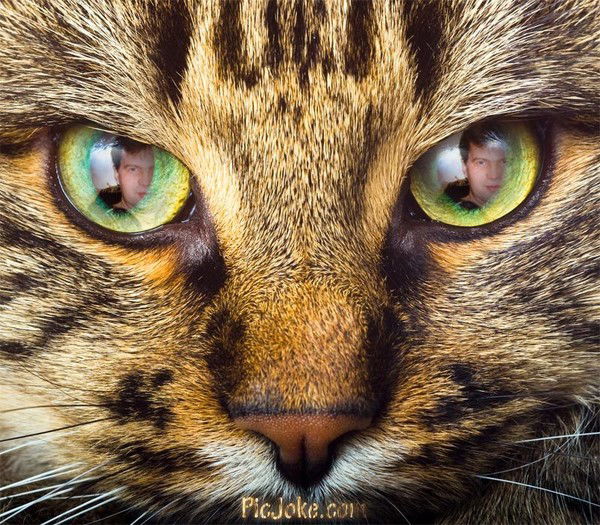 Юрий Корчагин