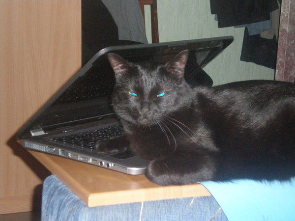 Алексей Вольхин