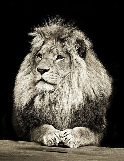 Стас Тархов