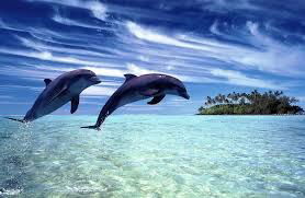 Сабина Самедова