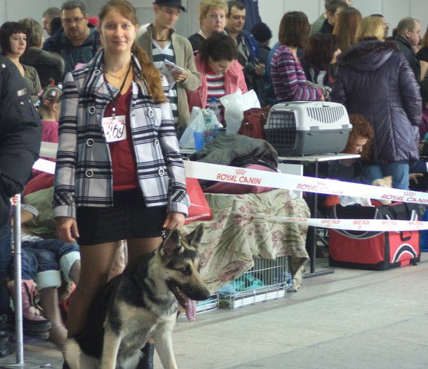 Анфиса Анашкина