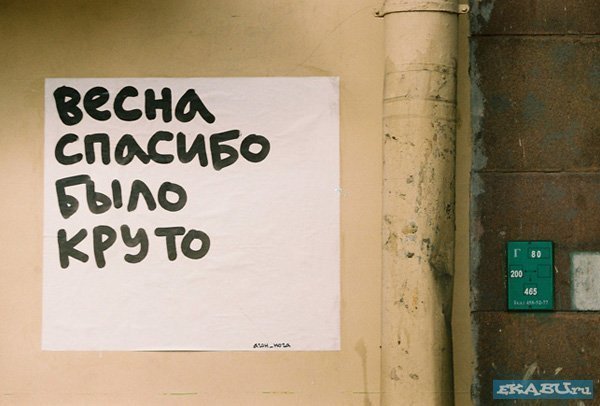 Роман Машаро