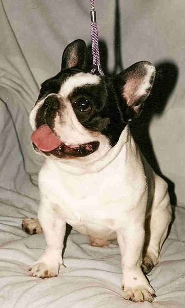 Наталья Титаева