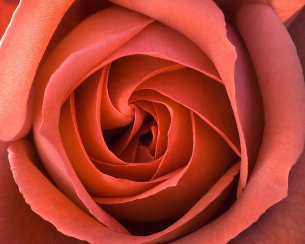 Наталия Заливнова