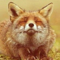 Вика Губанова