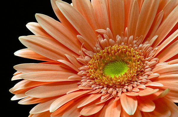 Лариса Лобазова