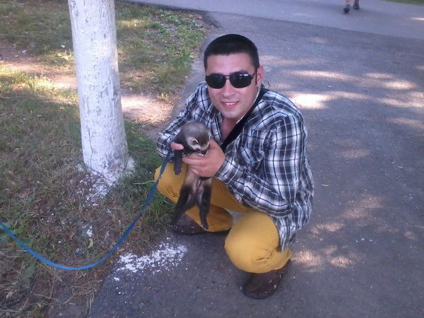 Александр Филиппов