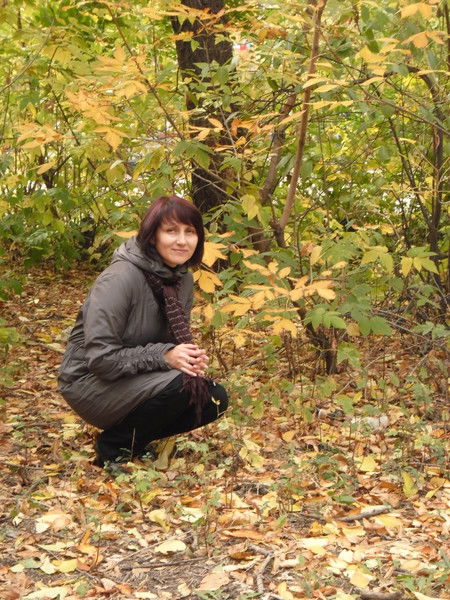 Елена Алексеева (Юдицкая)