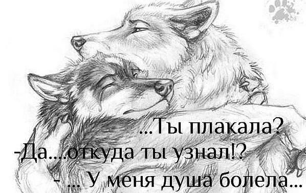 Елена Чужая