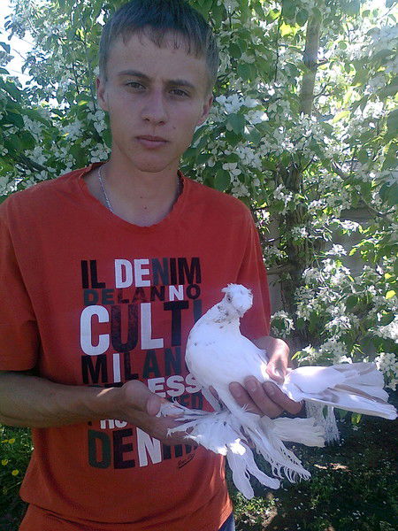 Алексей Крицкий