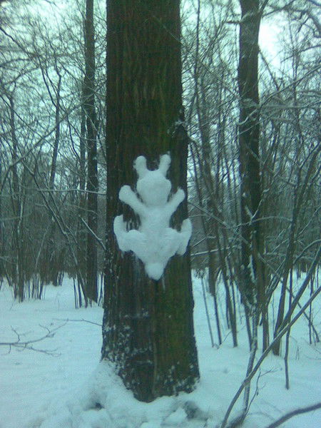 Коклен Елена