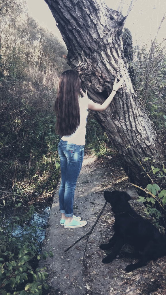 Света Новик