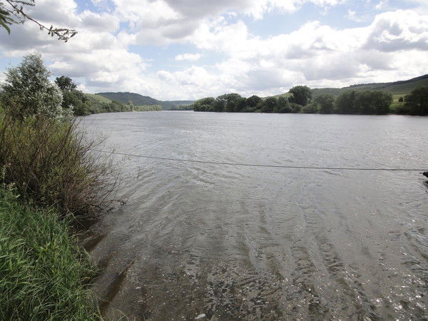 Александр Маматов