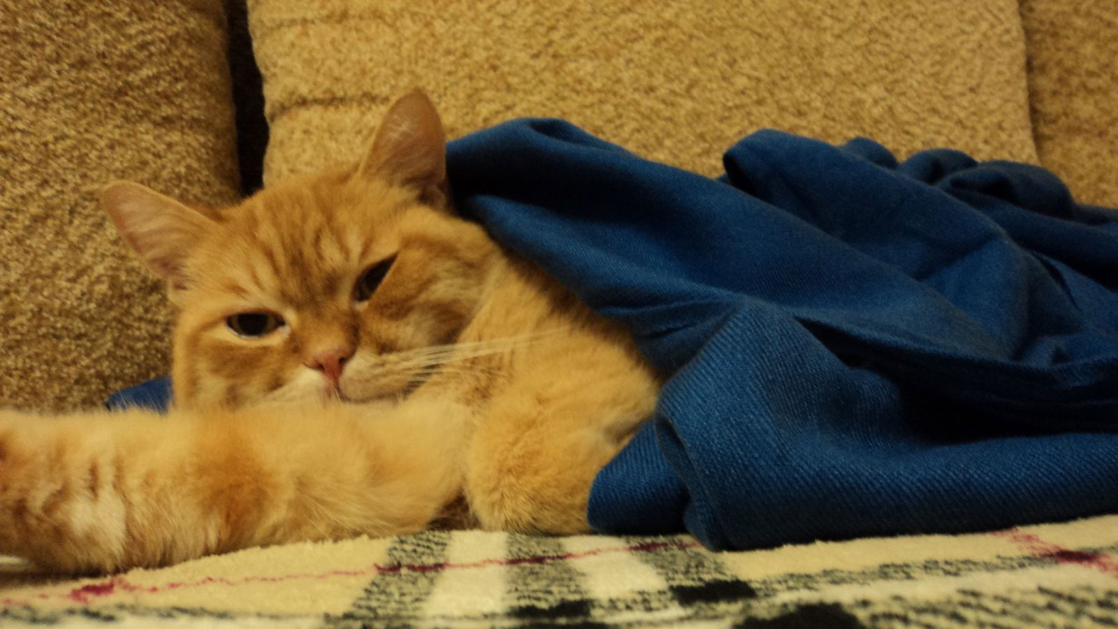 Ирина Гундорова