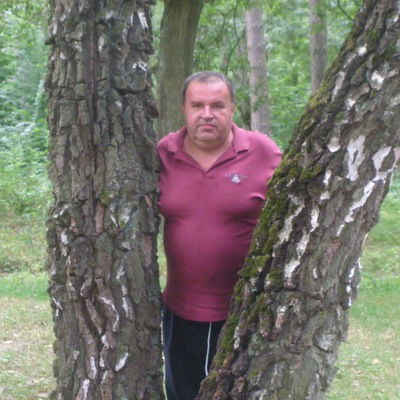 Владимир Серпиченко