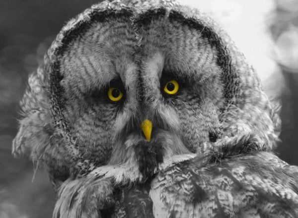 Татьяна Даниленко