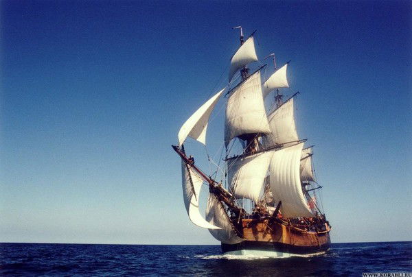 Юрий Сергеев