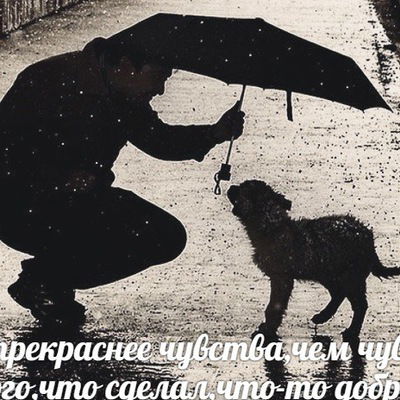 Рустам Закиров