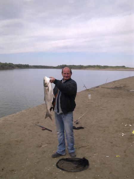 Андрей Ширинский