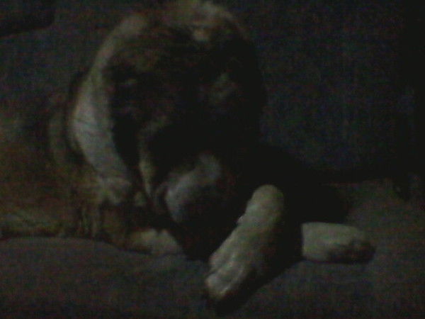 Юрий Корнев