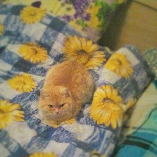 Валентина Афонина