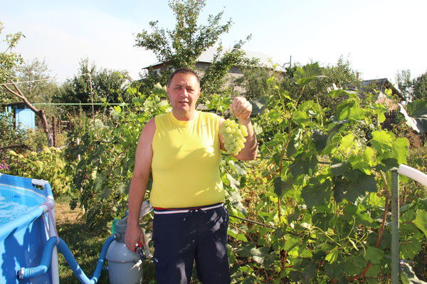 Борис Бекиров