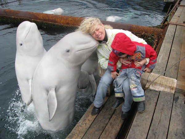 Елена Русакова